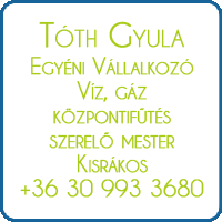 toth gyula 200x200